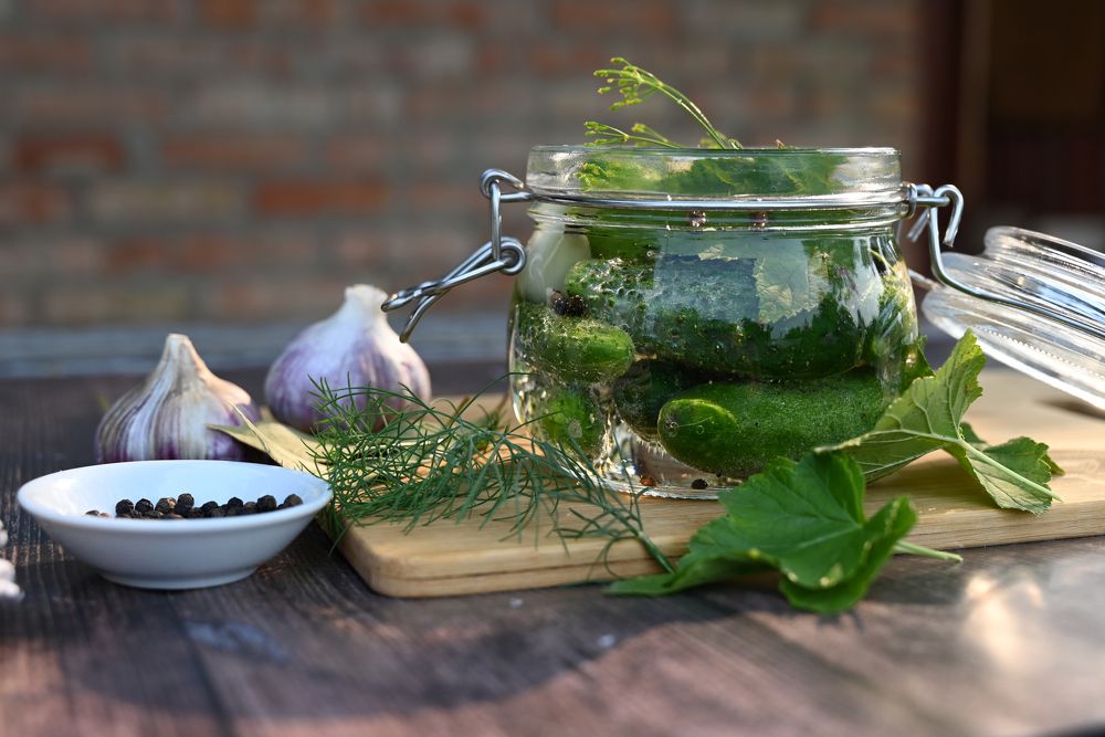 Photograph by Светлана Вербицкая