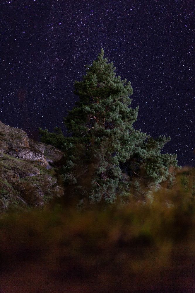 Photograph by Александра Куликова