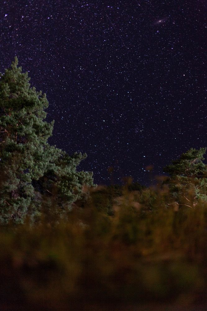 Photograph by Александра Куликова