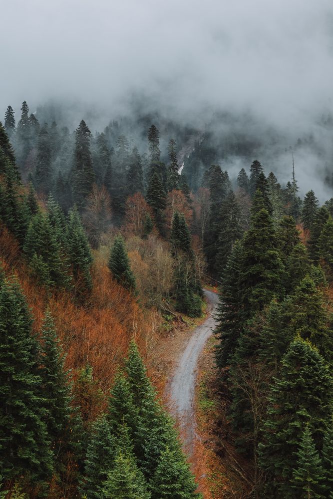 Photograph by Алексей Павленко