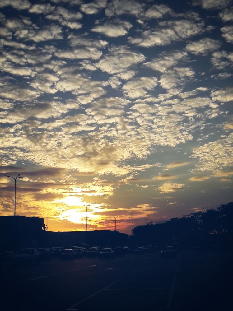 Photograph by Victoria Stoliarenko