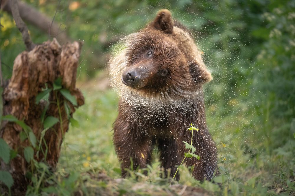 Photograph by Александр Кукринов