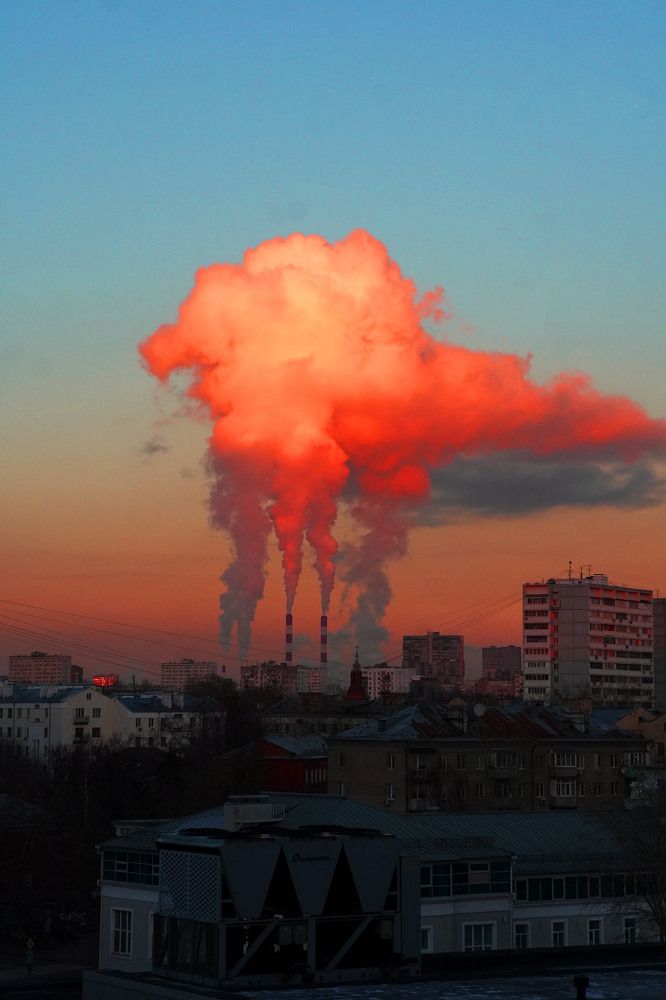 Photograph by Максимова Ирина