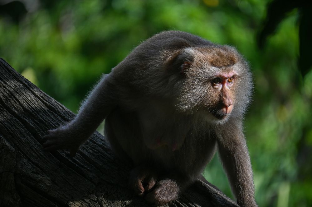 Фотография автора Ola La