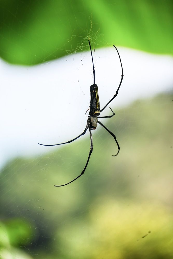 Фотография автора Ola La