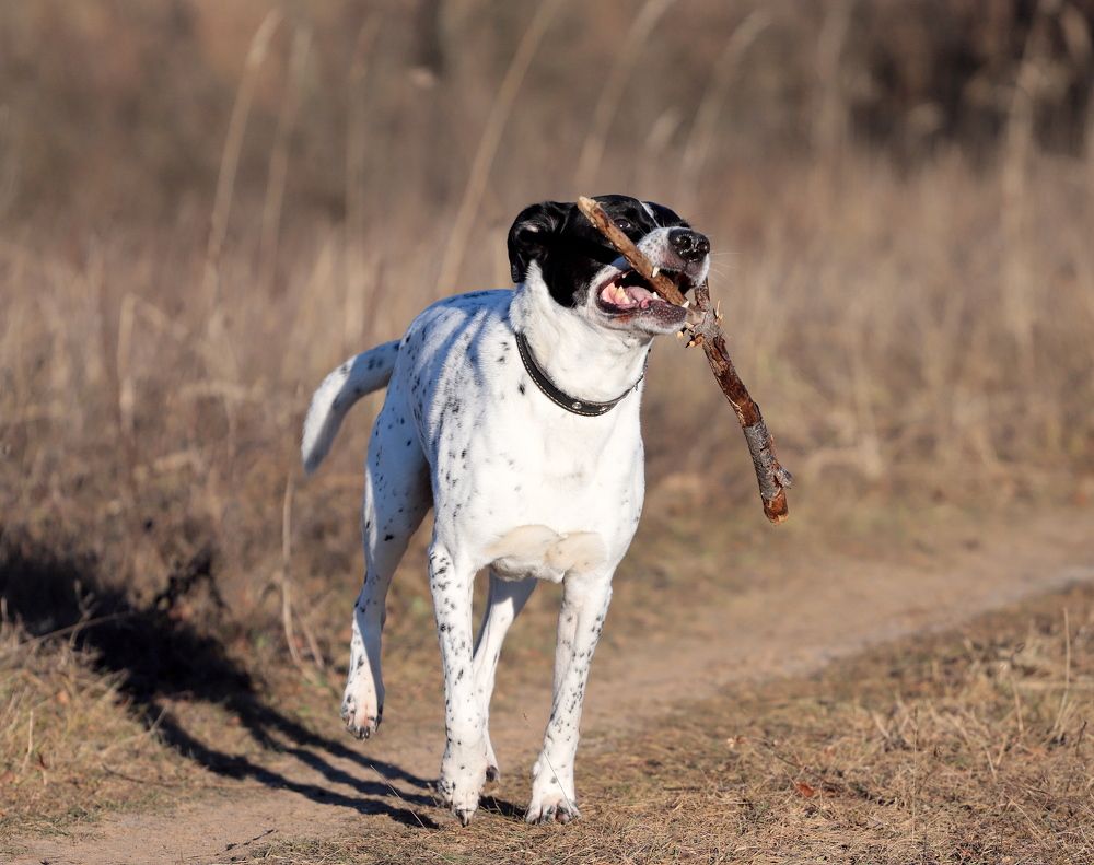 Photograph by Николай Круглов