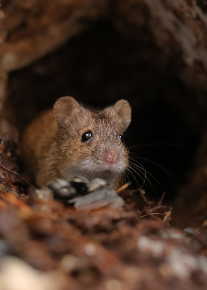 Photograph by Наталья Гайдукевич