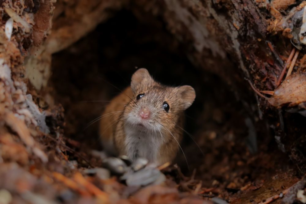 Photograph by Наталья Гайдукевич