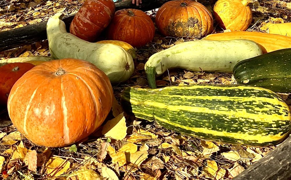 Photograph by Елена Мизина