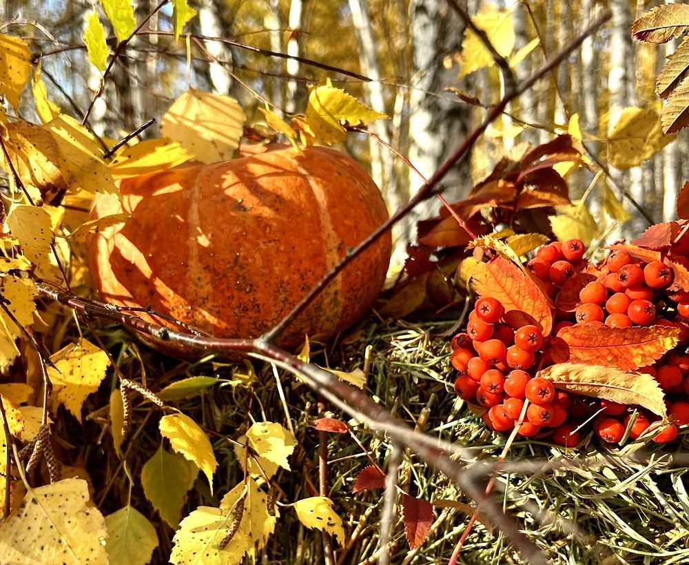 Photograph by Елена Мизина