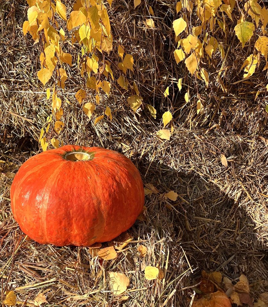 Photograph by Елена Мизина