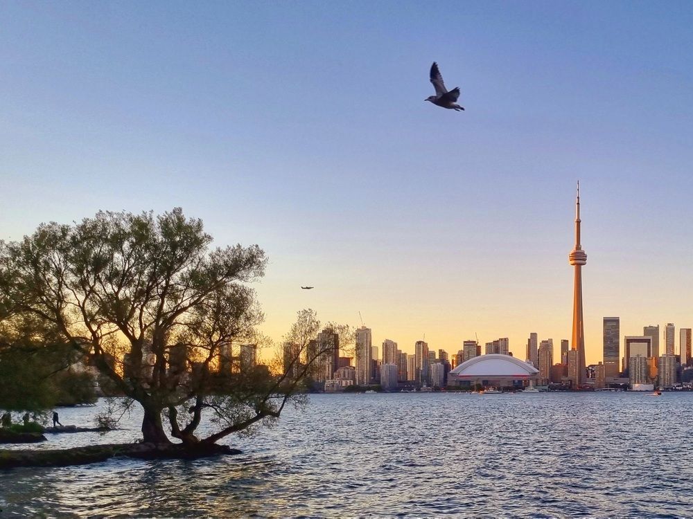 Photograph by Reza Golestaneh