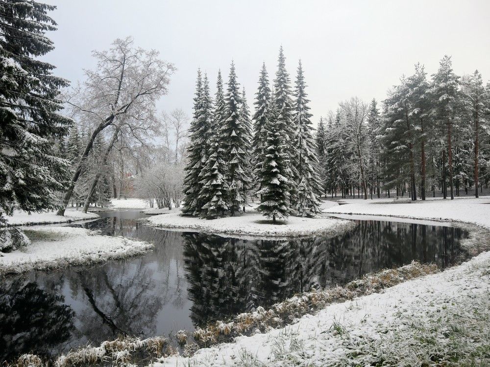 Photograph by Светлана Попова