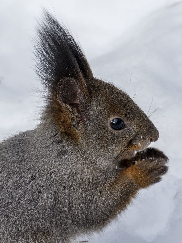 Photograph by Денис Вавилов