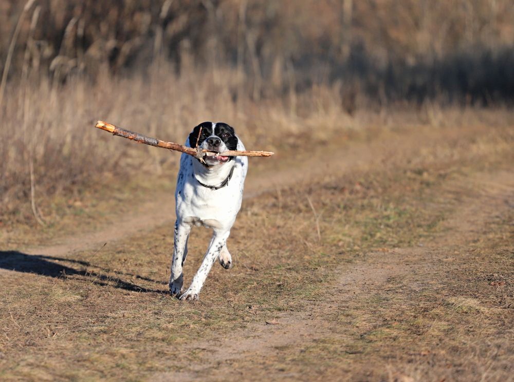 Photograph by Николай Круглов