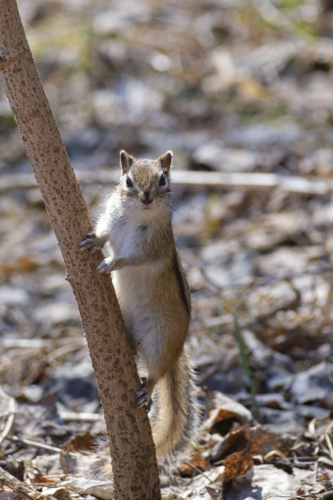 Photograph by Денис Вавилов