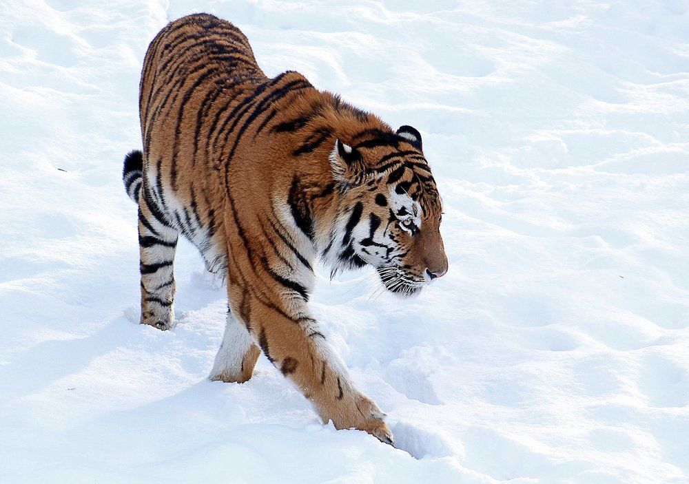 Photograph by Александр