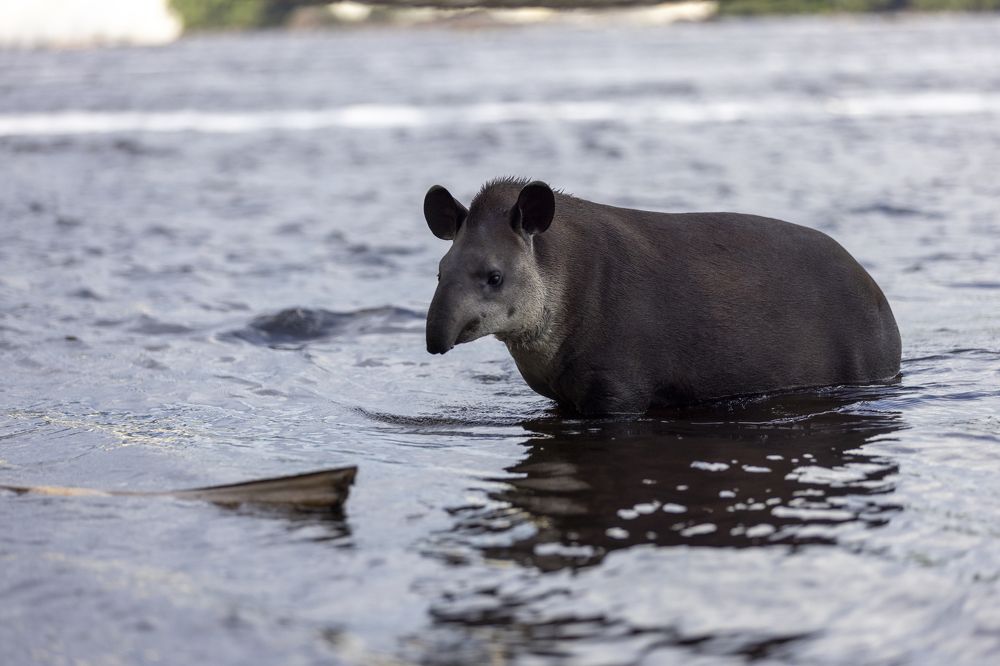 Photograph by Иван Соловьёв