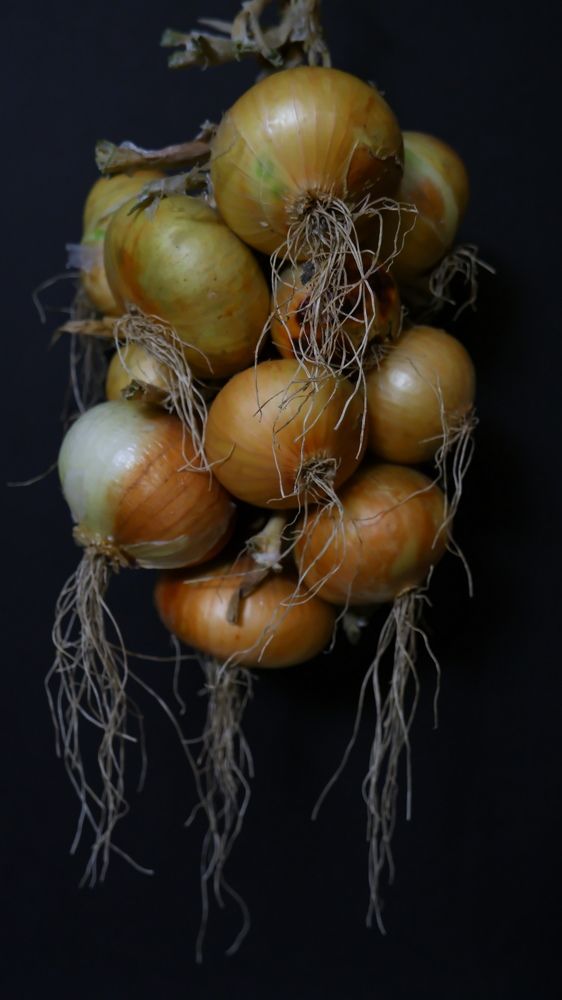 Photograph by Владимир Коровин