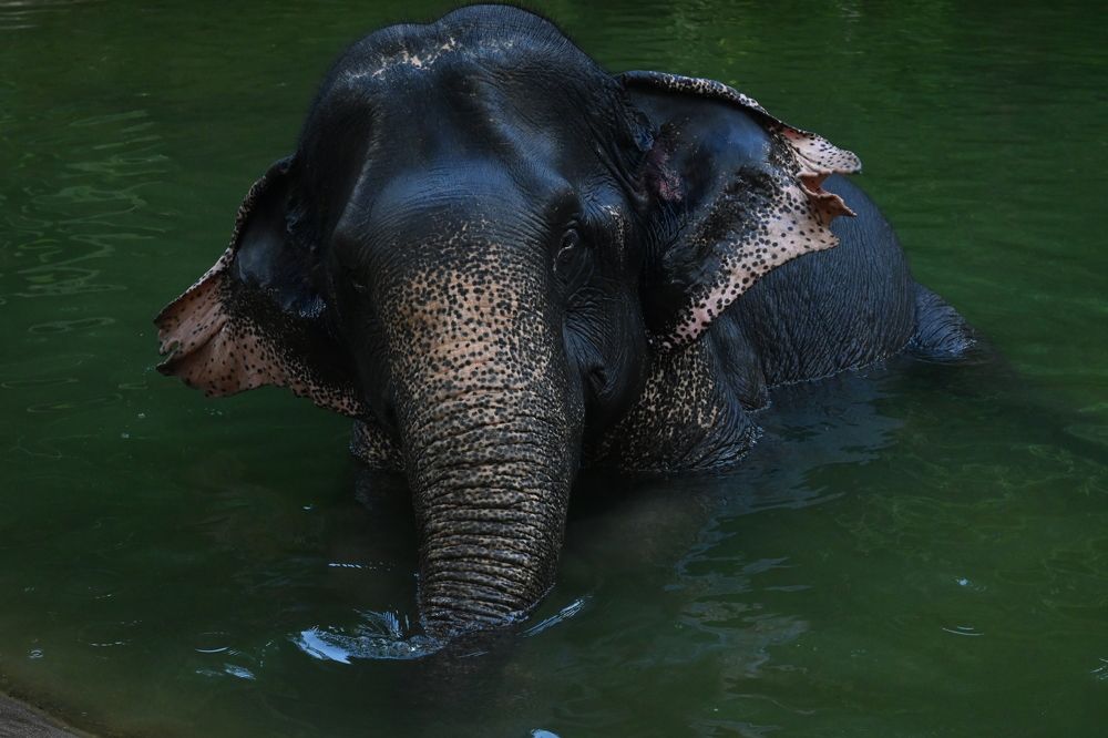 Фотография автора Ola La