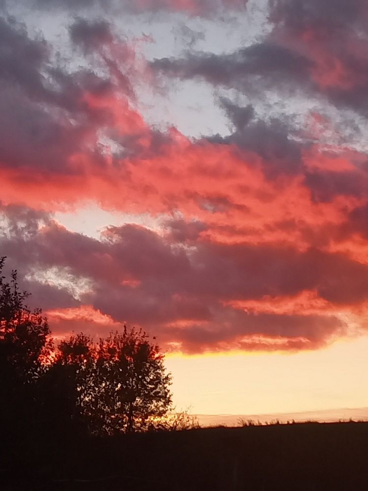 Photograph by Marijana Dragosavljevic