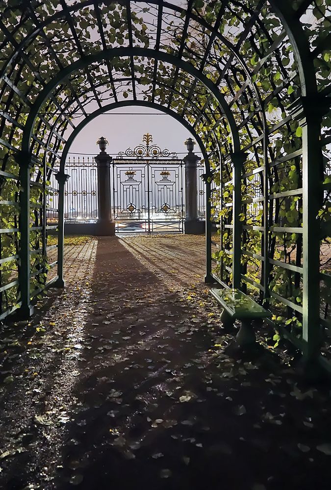 Photograph by Елена Белькова