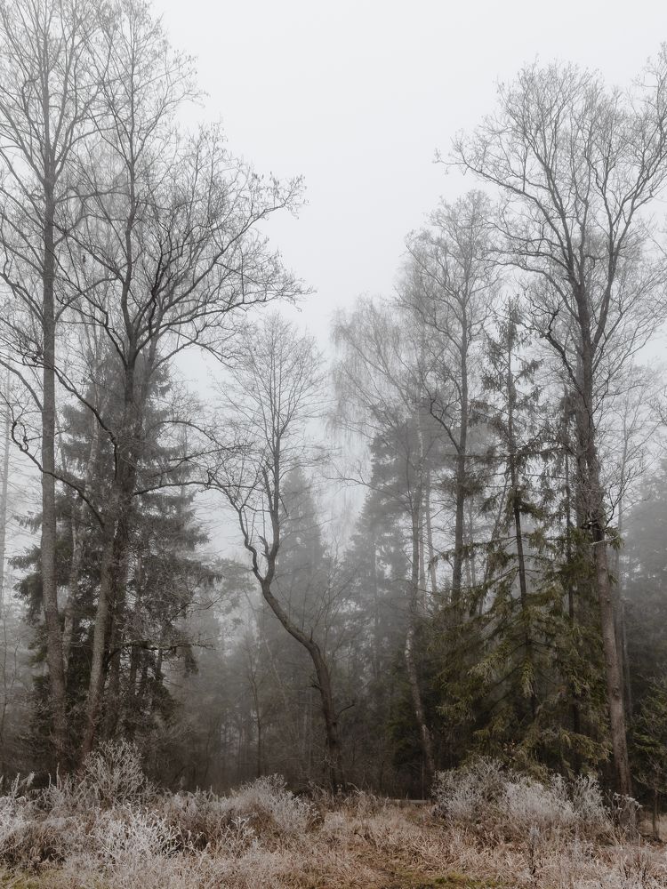 Photograph by Александр Степанов