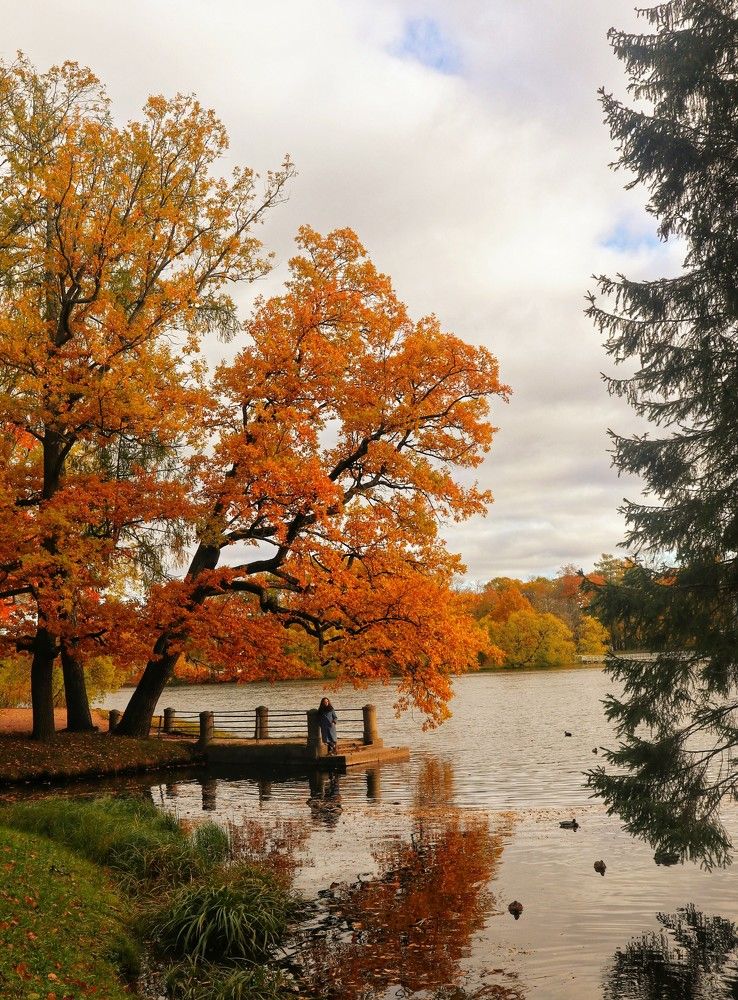 Photograph by Светлана Попова