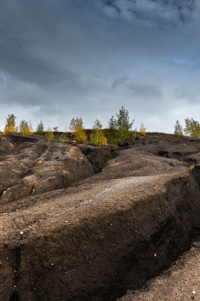 Photograph by Александр Степанов