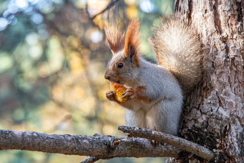 Photograph by Евгений Дроботенко