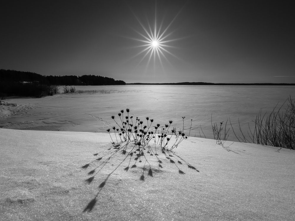 Photograph by Евгений Луцко