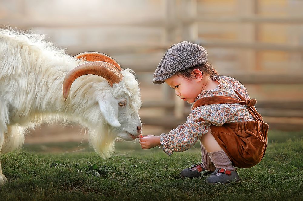 Photograph by  姚文琦