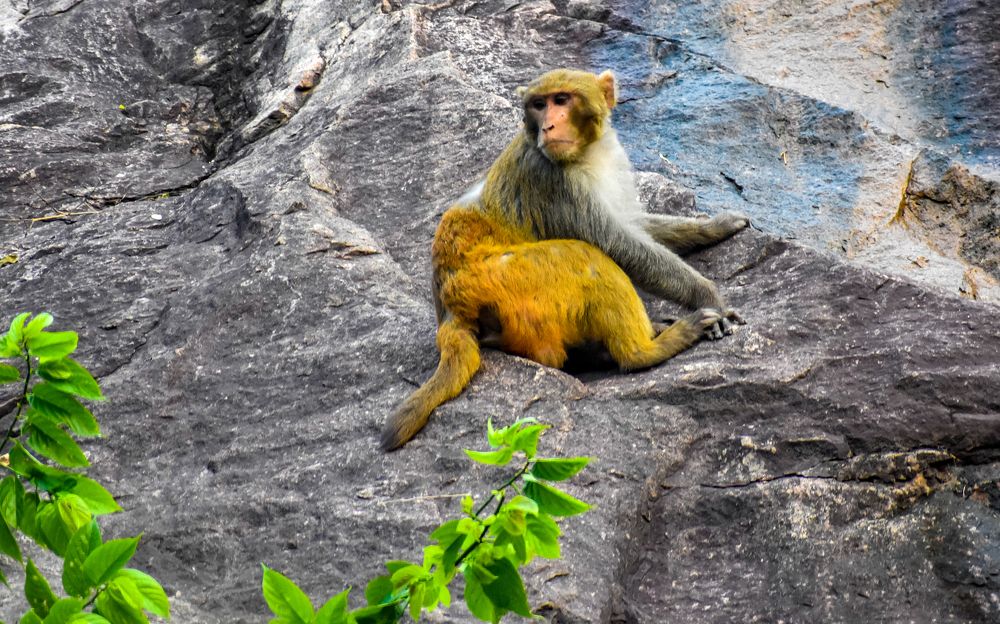 Photograph by Kamal Bhattacharjya