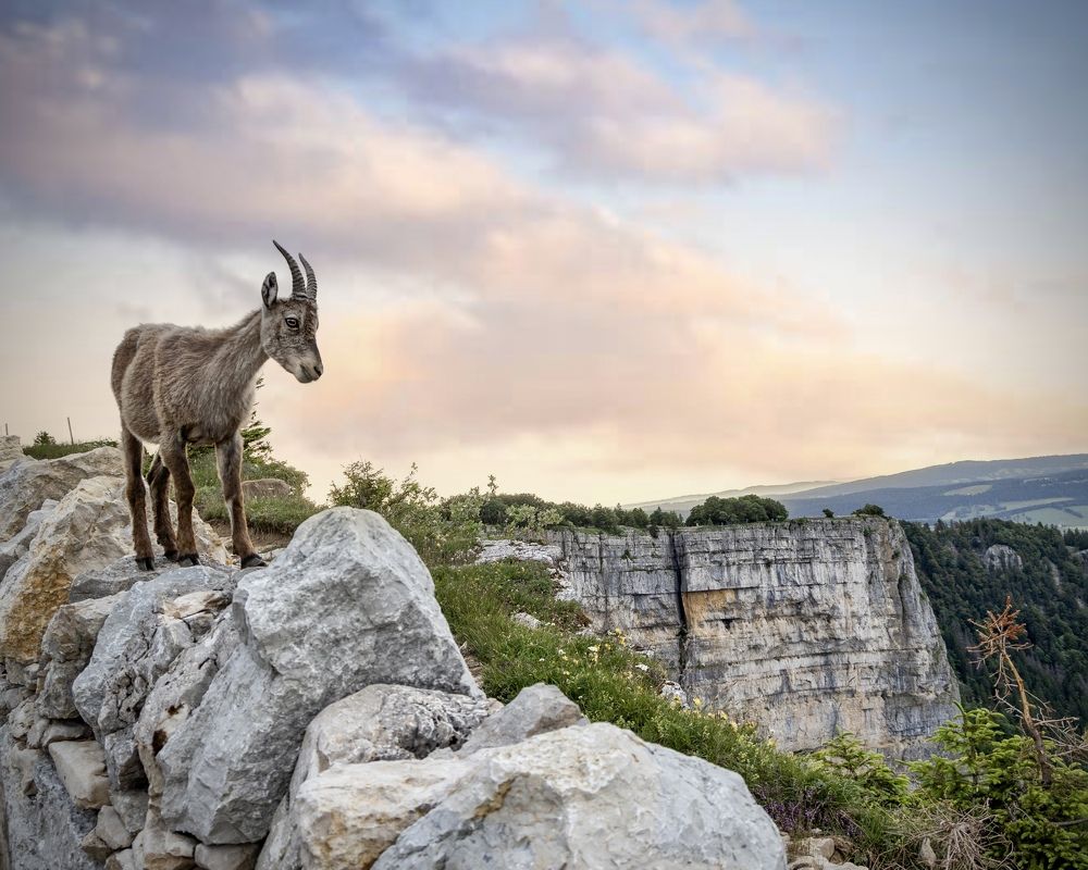 Photograph by Малика Маткарим