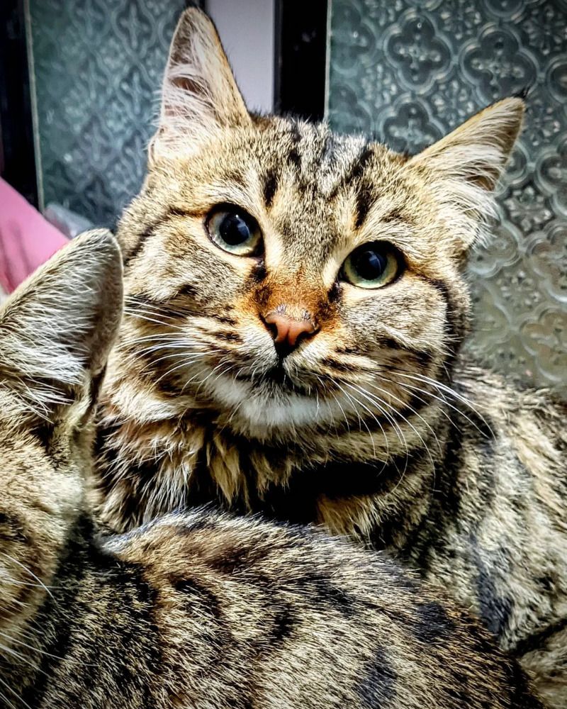 Photograph by Hossein Karimpoor