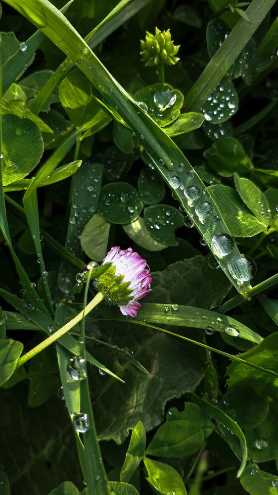 Photograph by Алиса Чугунова