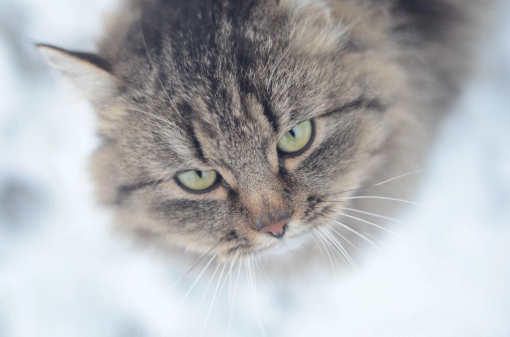 Photograph by Марина