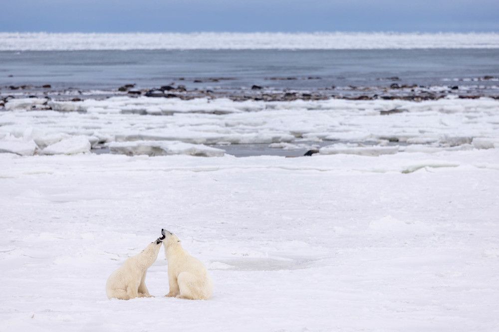 Photograph by Rémi Vacher