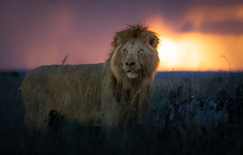 Photograph by Rémi Vacher