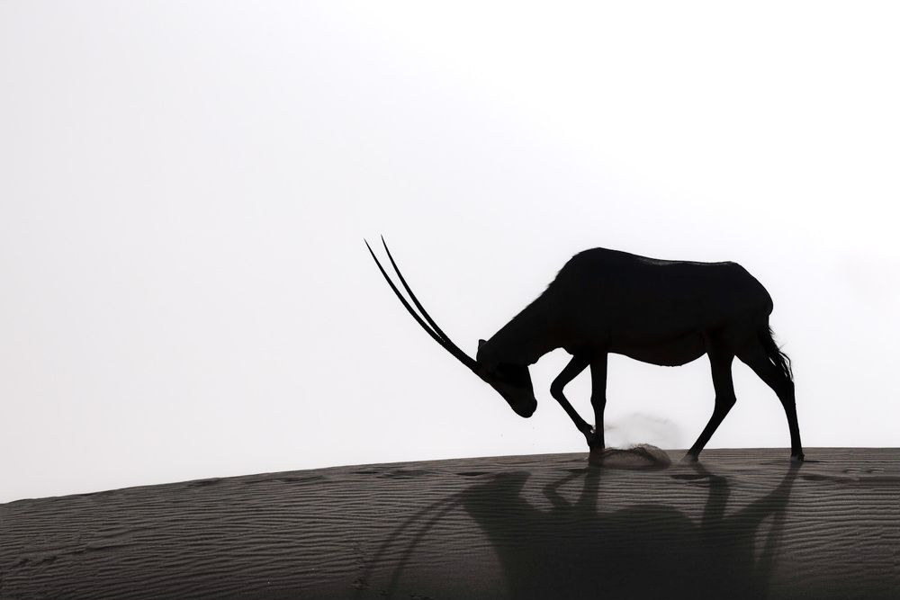 Photograph by Rémi Vacher