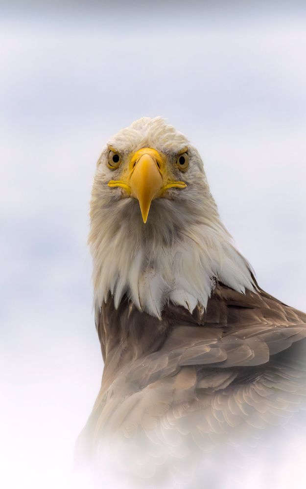 Photograph by Rémi Vacher