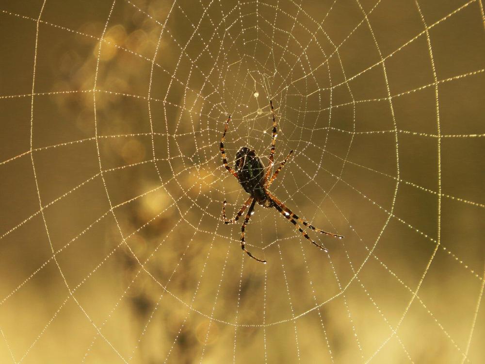 Photograph by Лариса Басова