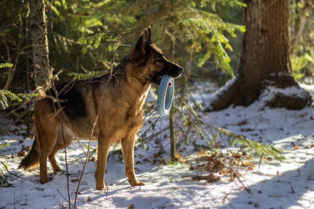 Photograph by Ольга Адольф