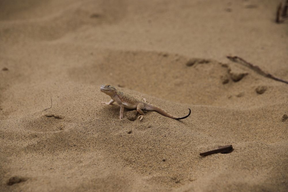 Photograph by Юлия Баринова