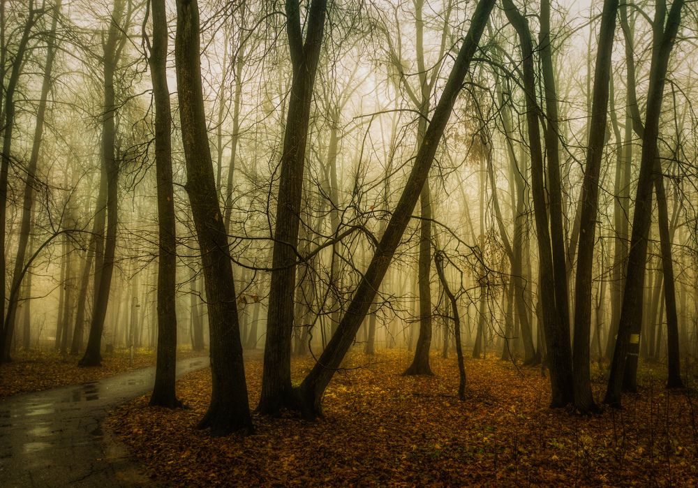 Фотография автора Александр Андреянов