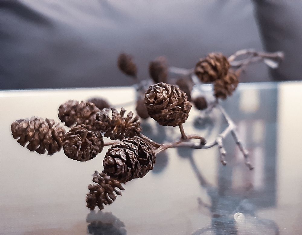 Photograph by Ольга