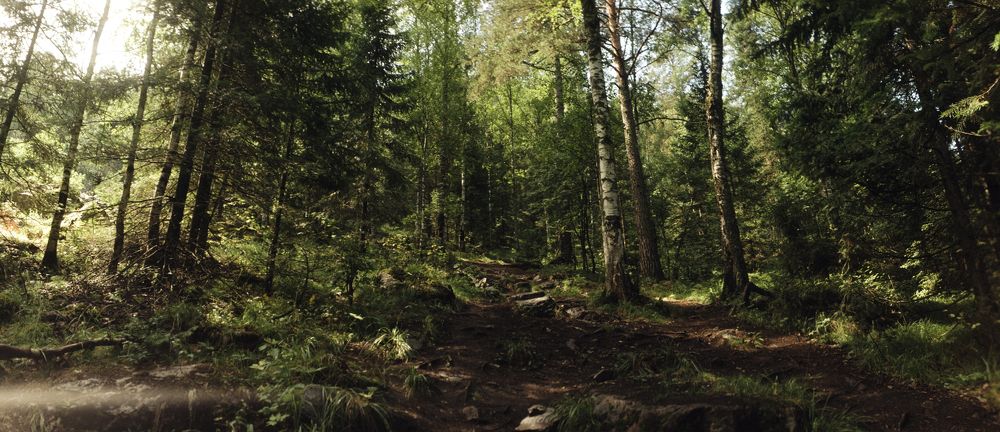 Photograph by Артём Буря(Бутрим)