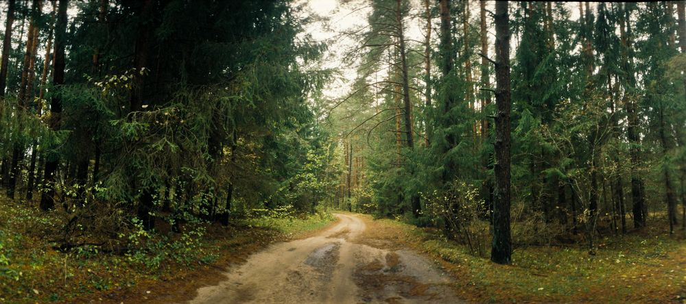 Photograph by Артём Буря(Бутрим)