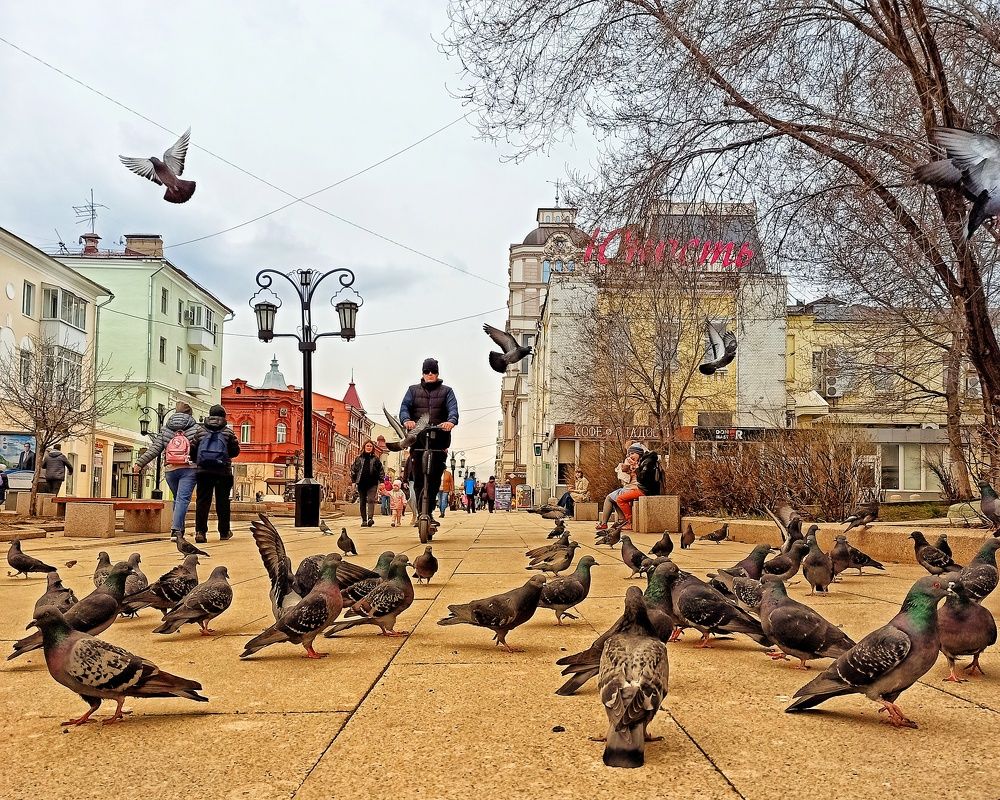 Photograph by Elena Bogomolova