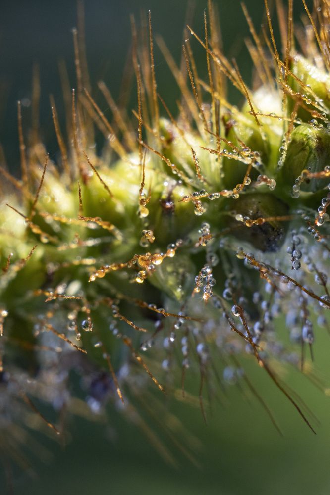 Photograph by Елена Попова